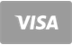 Paiement par carte Visa sur SpinORhino Casino